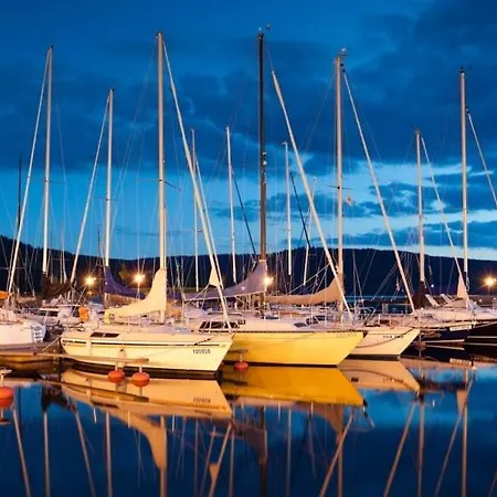 Adam 리프노나드비타보브